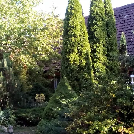 Leppiner Hof - Hotel Arendsee (Altmarkkreis Salzwedel)