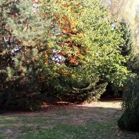Szálloda Leppiner Hof - Fruehstueckspension Arendsee