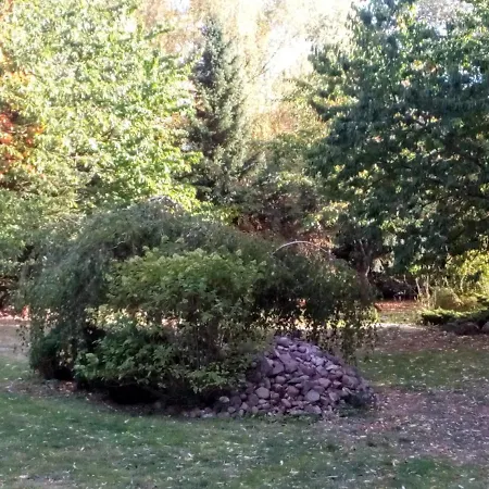 Leppiner Hof - Fruehstueckspension 3*