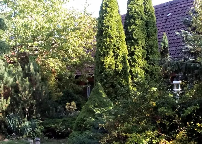 Leppiner Hof - Fruehstueckspension Szálloda Arendsee