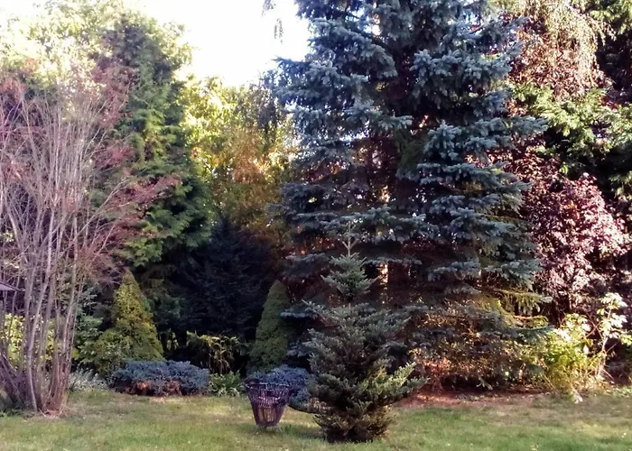 Leppiner Hof - Fruehstueckspension 아렌트제